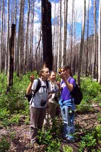 Thirty Mile Fire Field Crew