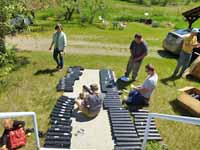 Western Gray Squirrel Volunteers