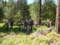 Western Gray Squirrel Volunteers