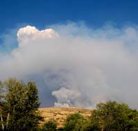 wildfire smoke plume