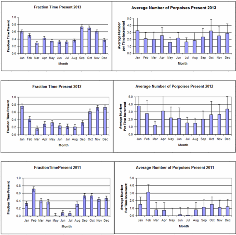 harbor porpoise observation data