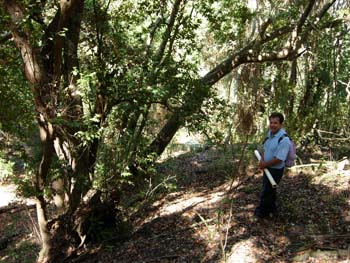 Frederico_In_Zapallar_Forest200Feb22