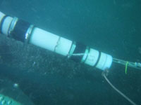 monitor underwater