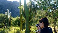 Lucila Castro photographing cardon cacti